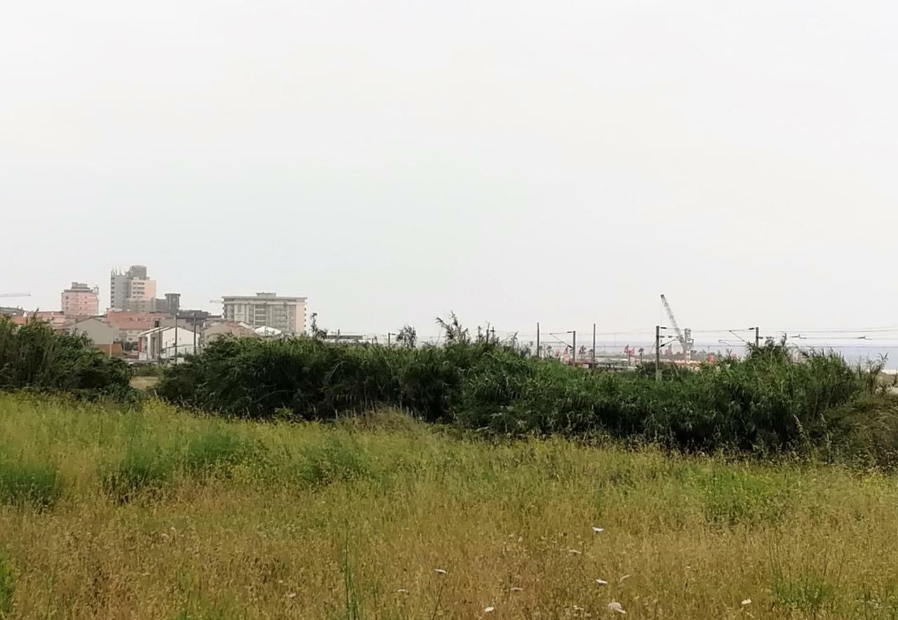 Apeadeiro Do Mar 2 Daire São Félix da Marinha Dış mekan fotoğraf